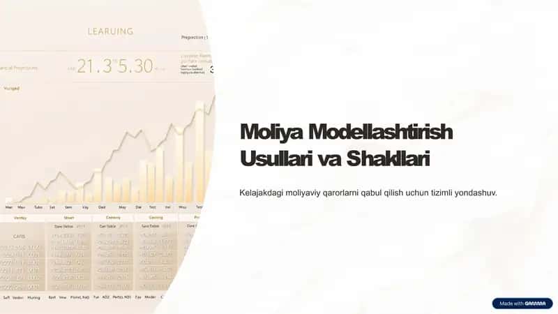 Moliya Modellashtirish Usullari va Shakllari 1
