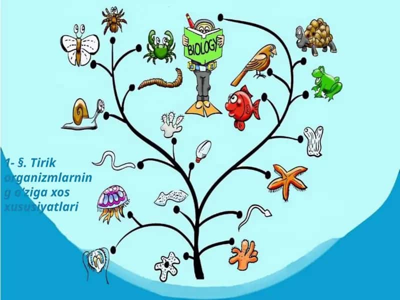 Tirik organizmlarning o‘ziga xos xususiyatlari 1