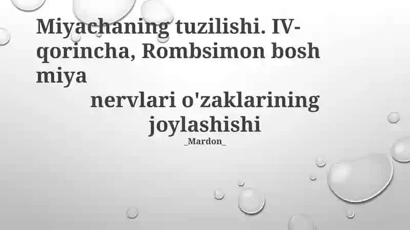 Miyachaning tuzilishi. IV-qorincha, Rombsimon bosh miya nervlari o'zaklarining joylashishi