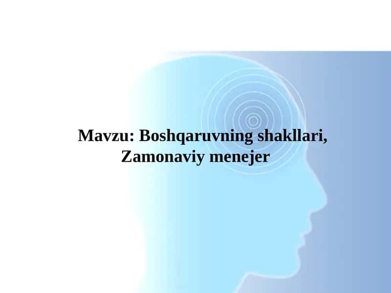 Boshqaruvning shakllari, Zamonaviy menejer 1