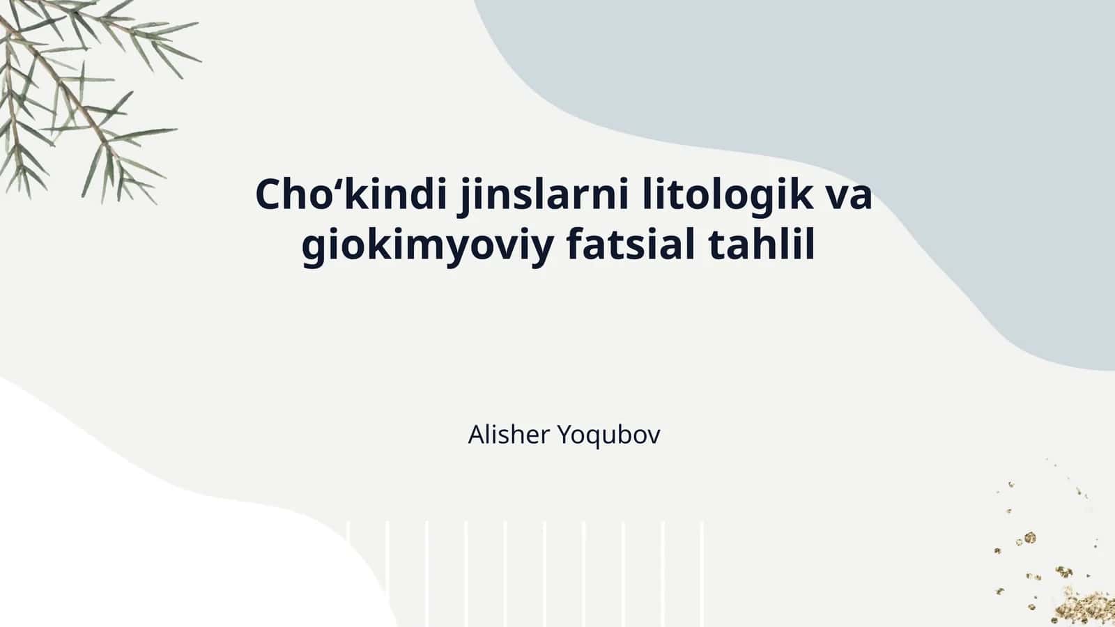 Choʻkindi jinslarni litologik va giokimyoviy fatsial tahlil 1