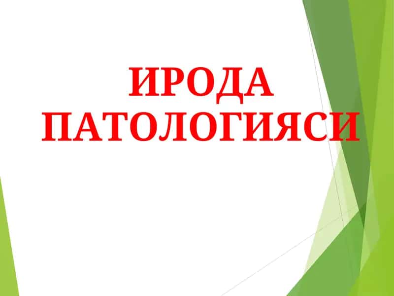 ИРОДА ПАТОЛОГИЯСИ 1