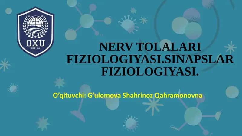 NERV TOLALARI FIZIOLOGIYASI.SINAPSLAR FIZIOLOGIYASI 1