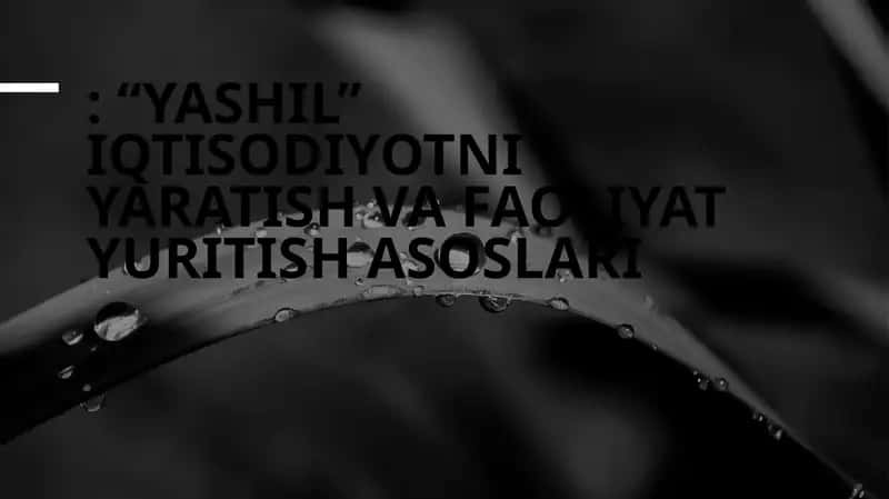 Yashil iqtisodiyotni yaratish va faoliyat yuritish asoslari 1