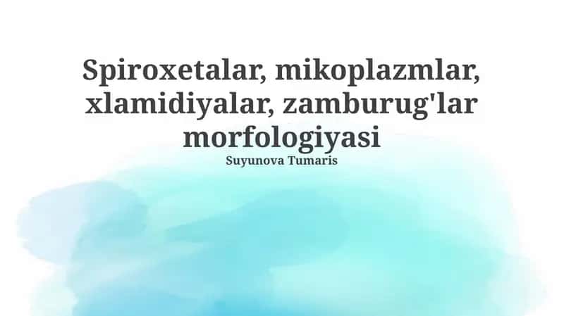 Mikoplazmalar, xlamidiyalar, spiroxetalar va zamburug'lar morfologiyasi 1