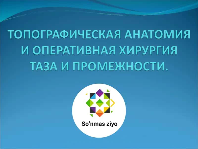 Топографическая Анатомия и оперативная хирургия таза 1