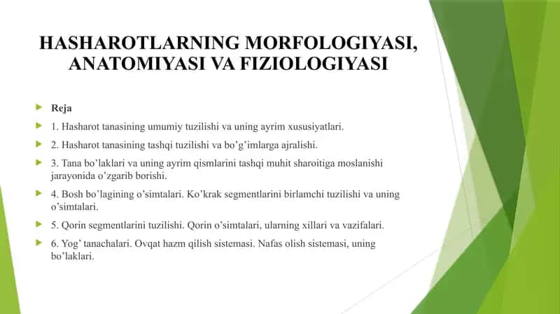 Hasharotlarning morfologiyasi, anatomiyasi va fiziologiyasi 1