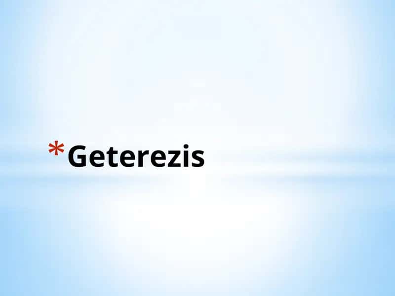 Geterezis 1