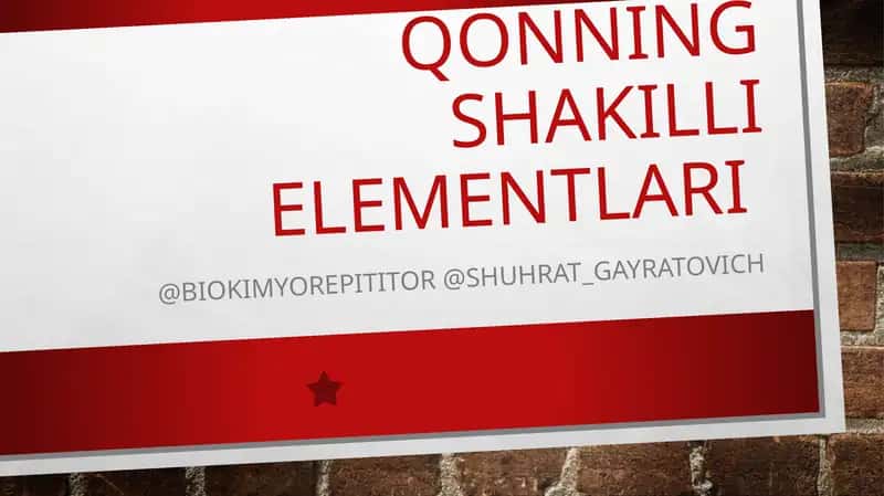 Qonning shakilli elementlari 1