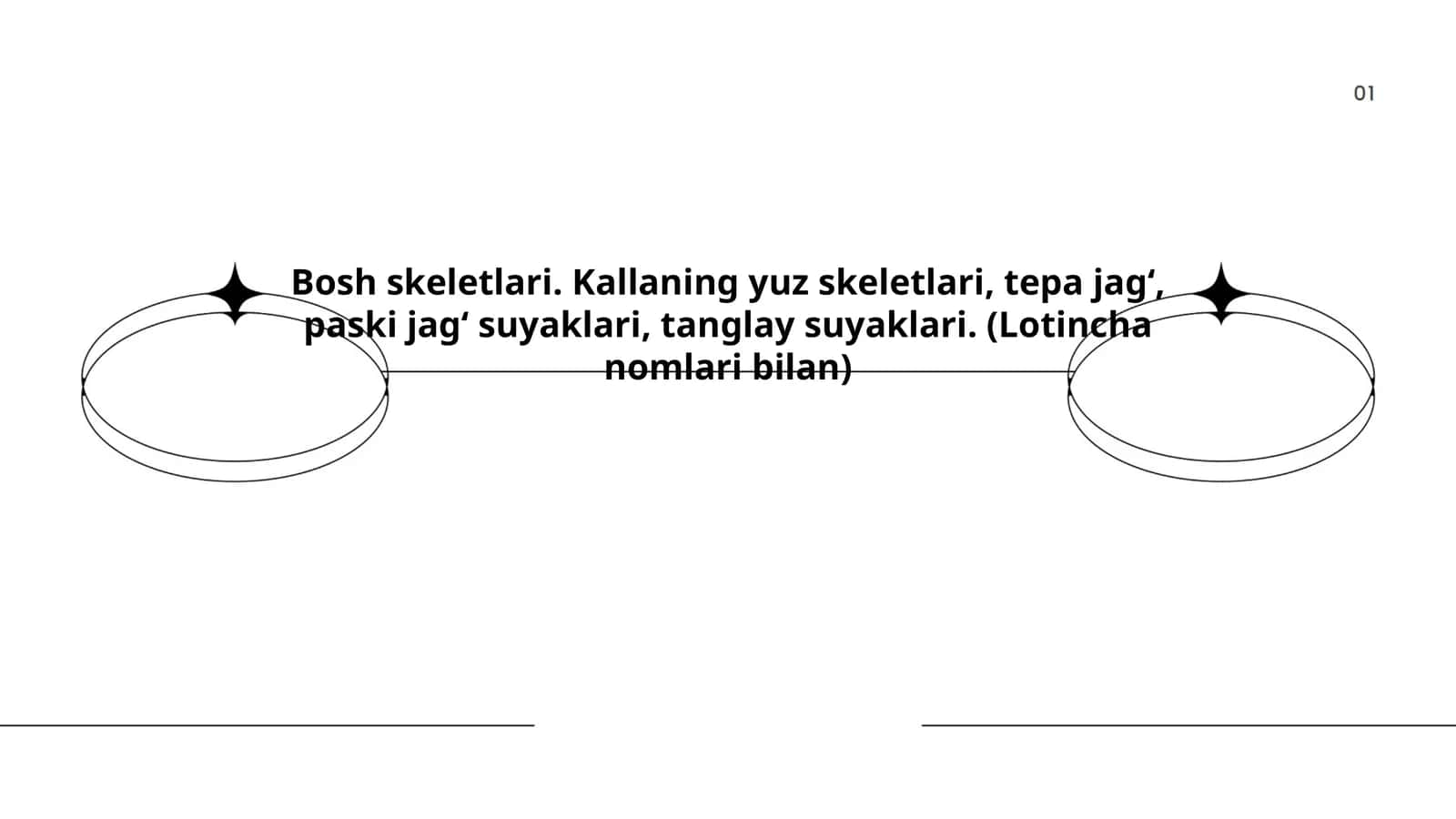 Bosh skeletlari. Kallaning yuz skeletlari, tepa jagʻ, paski jagʻ suyaklari, tanglay suyaklari 1
