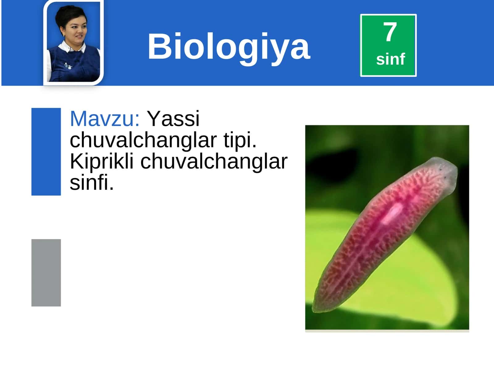 Yassi chuvalchanglar tipi. Kiprikli chuvalchanglar sinfi 1