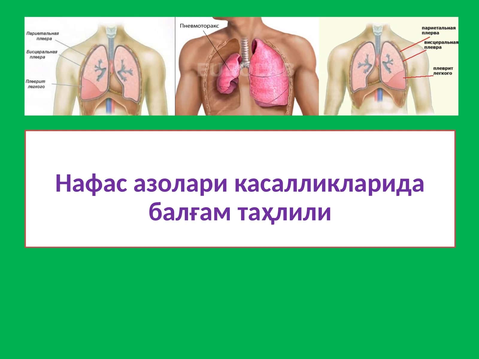 Нафас азоларикасалликларида балғам таҳлили 1