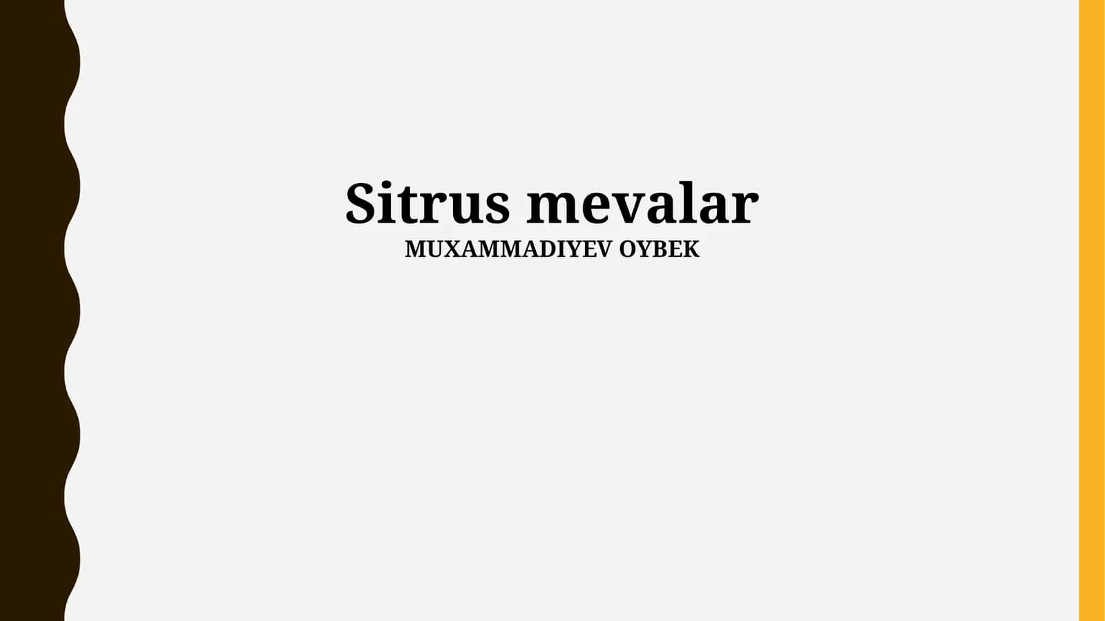 Sitrus mevalar 1