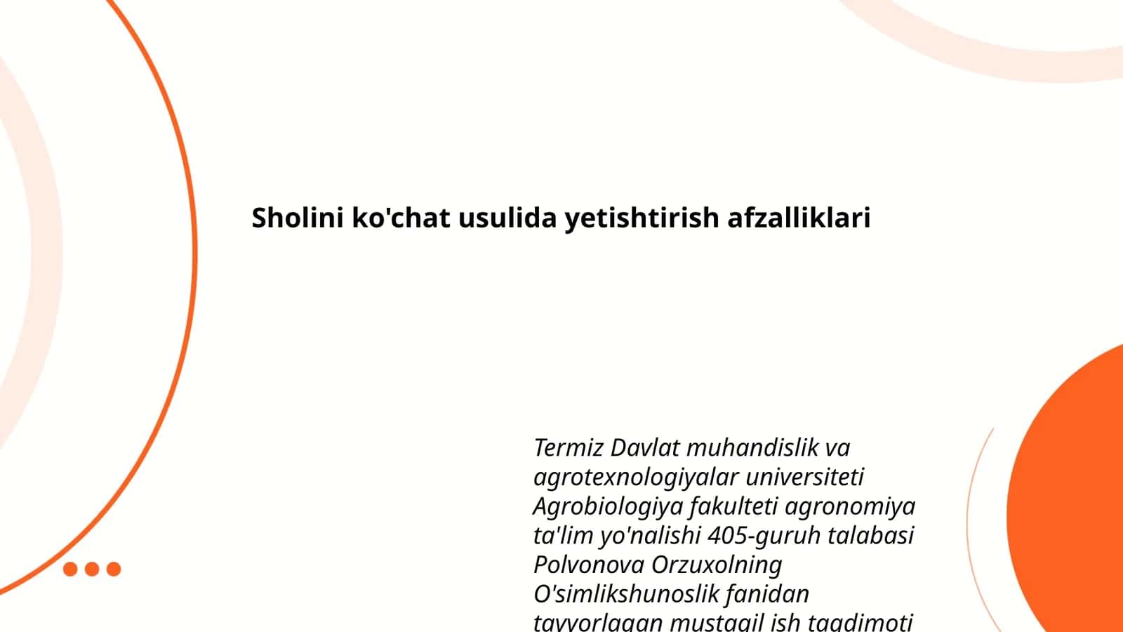 Sholini ko'chat usulida yetishtirish afzalliklari 1