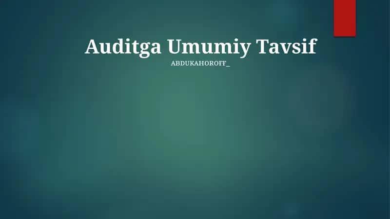 Auditga Umumiy Tavsif 1