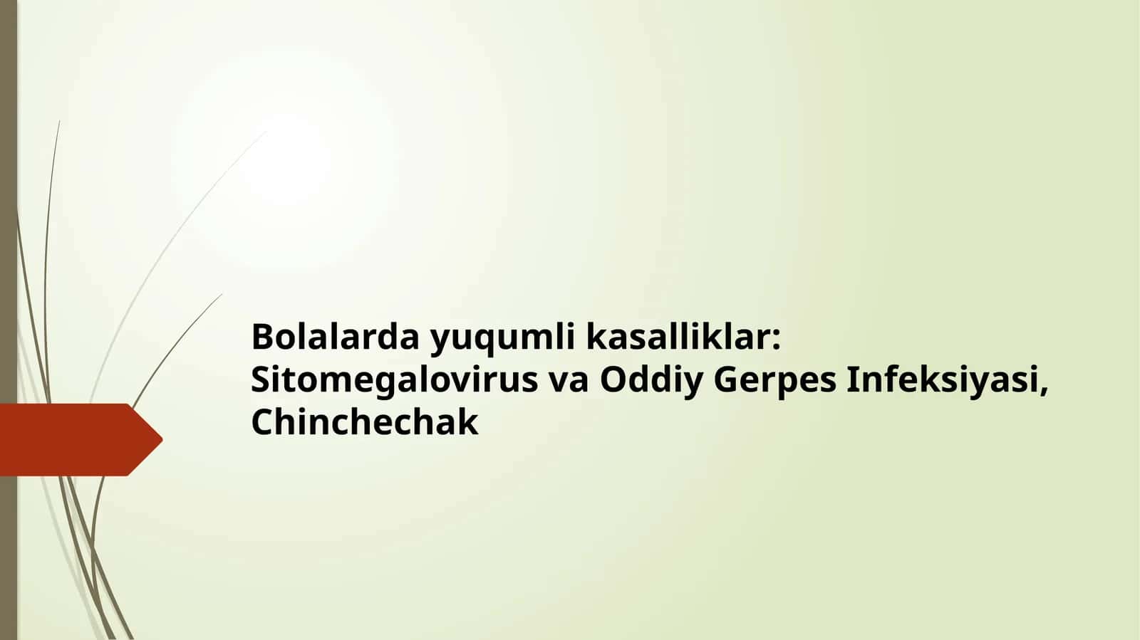 Bolalarda yuqumli kasalliklar: Sitomegalovirus va Oddiy Gerpes Infeksiyasi, Chinchechak 1