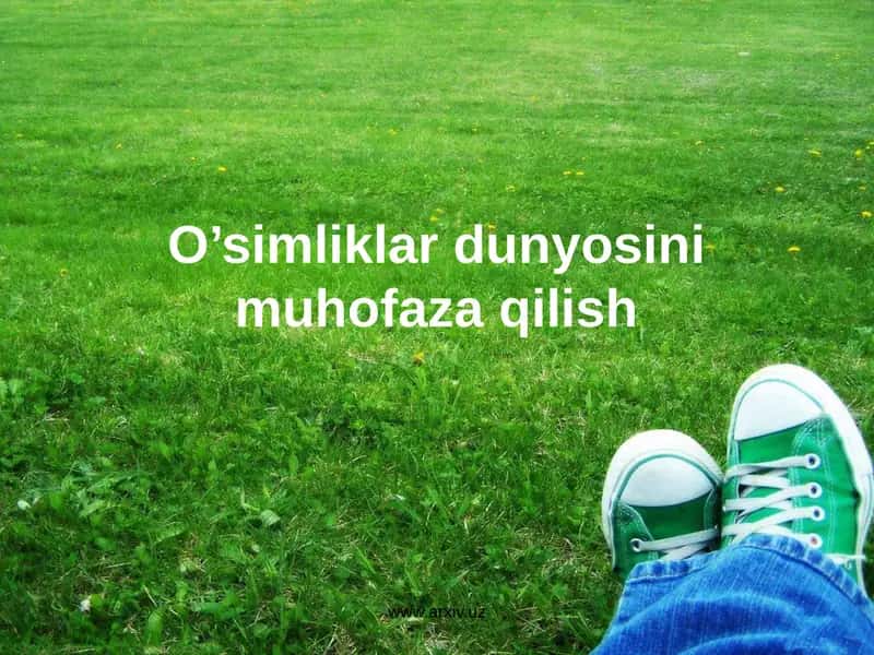 O'simliklar dunyosini muhofaza qilish 1
