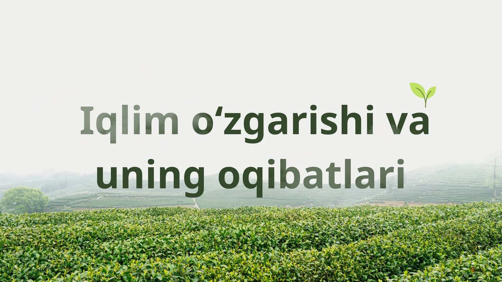 Iqlim o‘zgarishi va uning oqibatlari 1