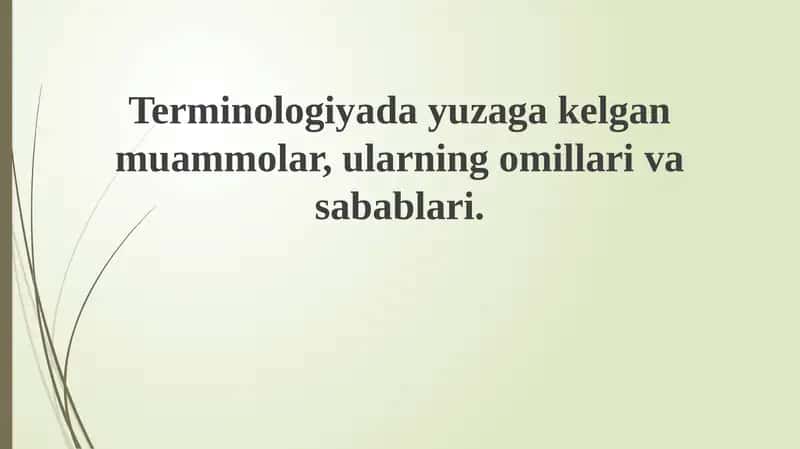 Terminologiyadagi muammolar 1