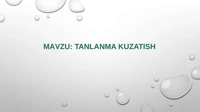 Tanlanma kuzatish 1