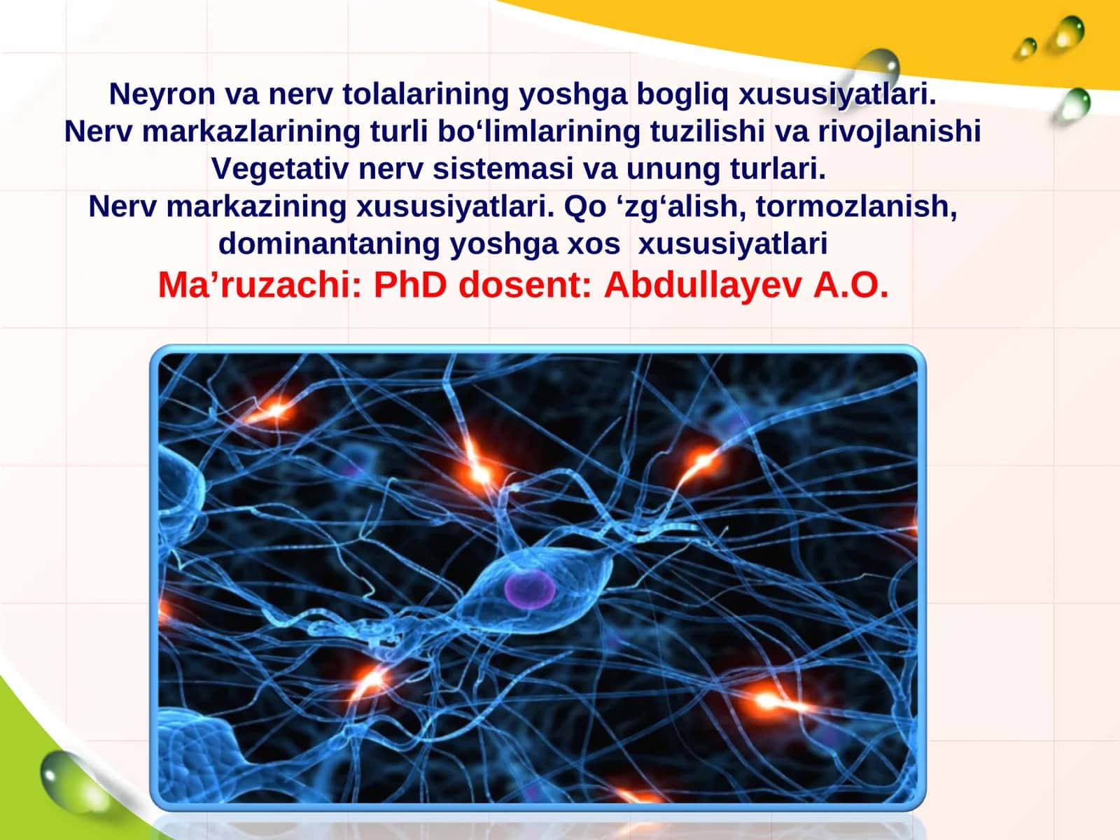Neyron va nerv tolalarining yoshga bogliq xususiyatlari 1