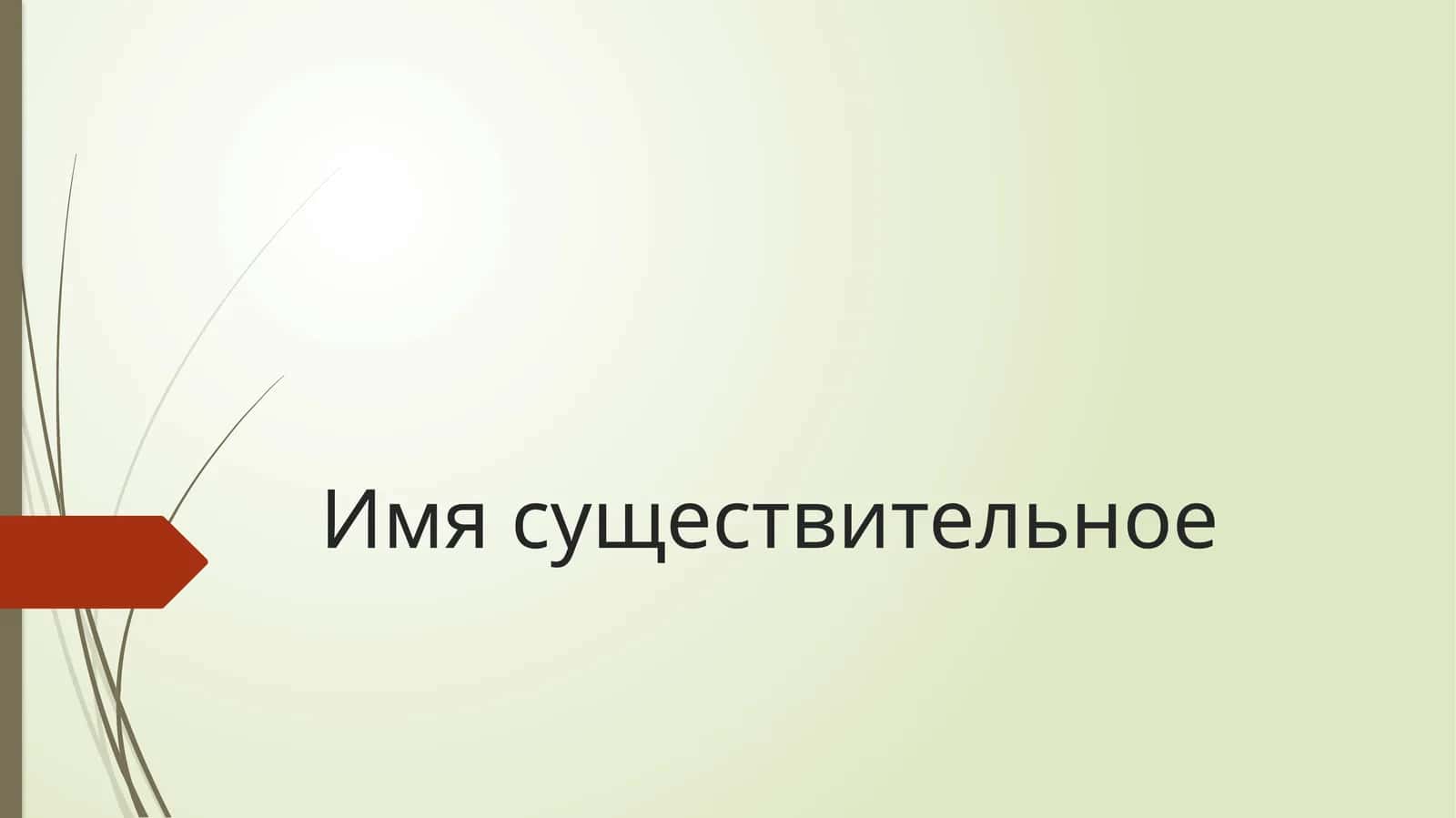 Имя существительное 1
