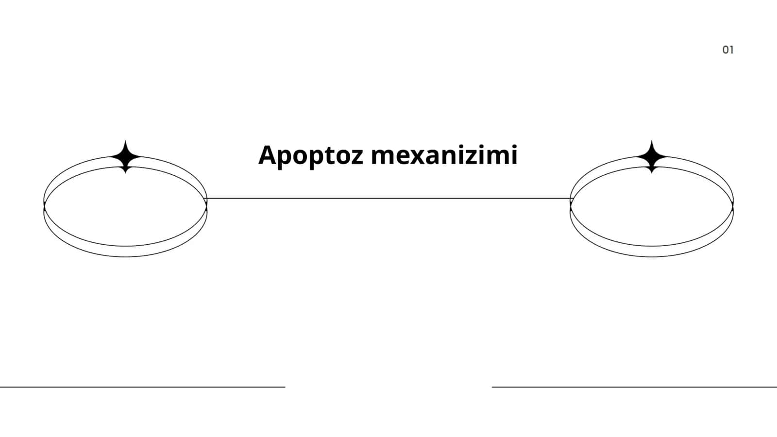 Apoptoz mexanizimi 1