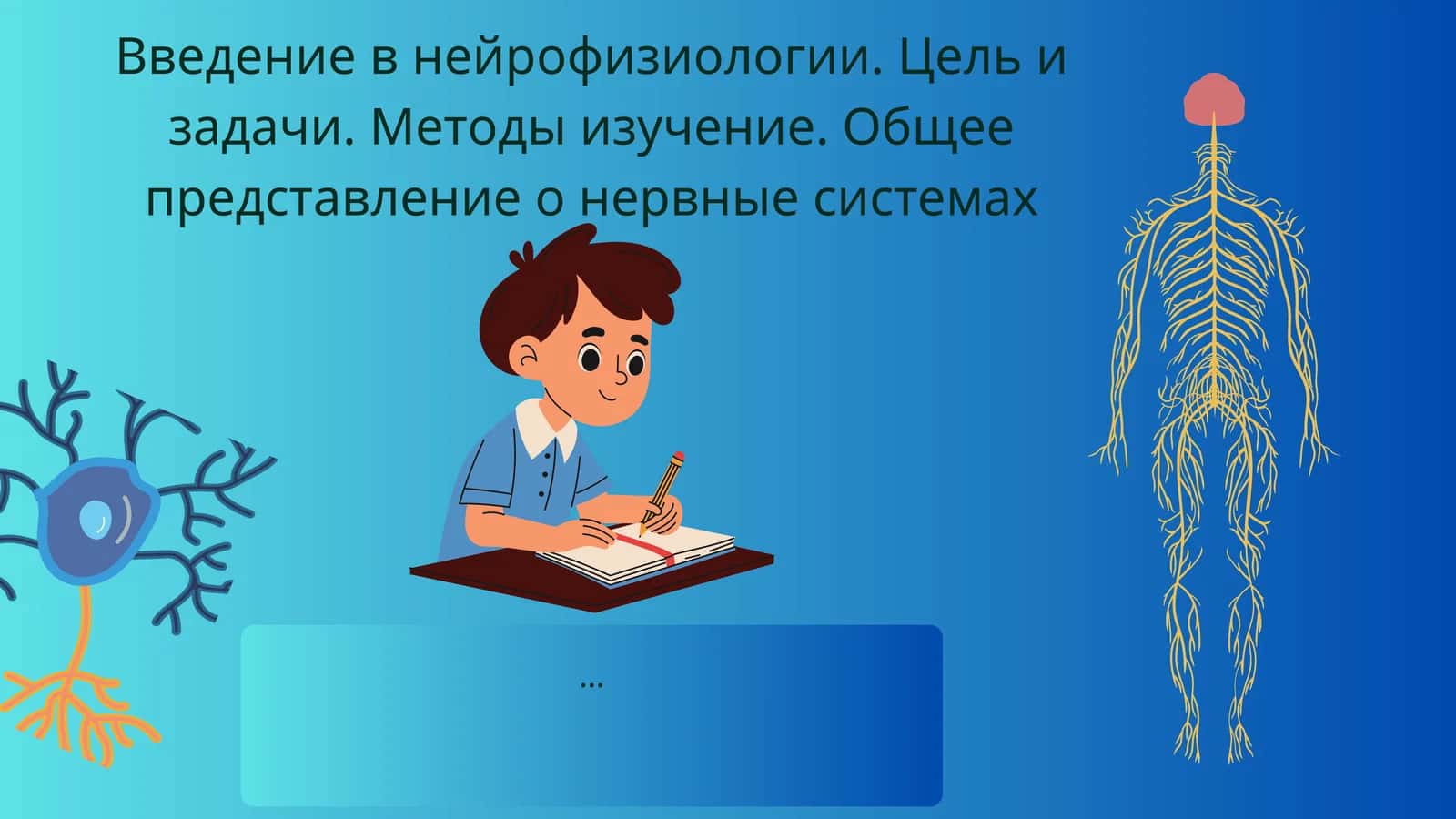Введение в нейрофизиологии 1