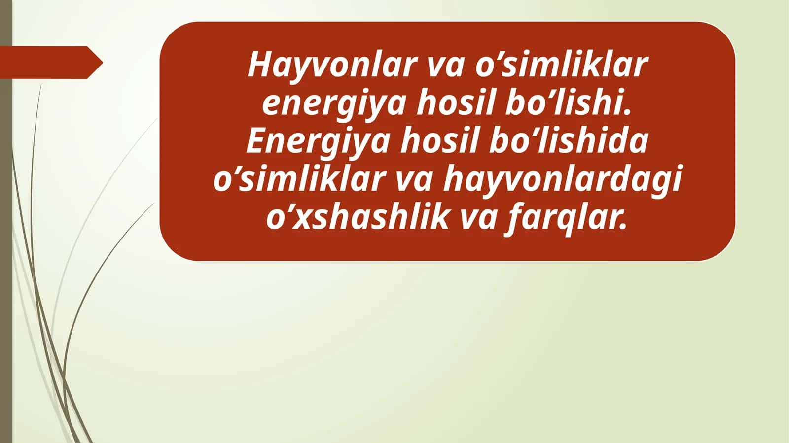 Hayvonlar va o'simliklarda energiya hosil bo'lishi 1