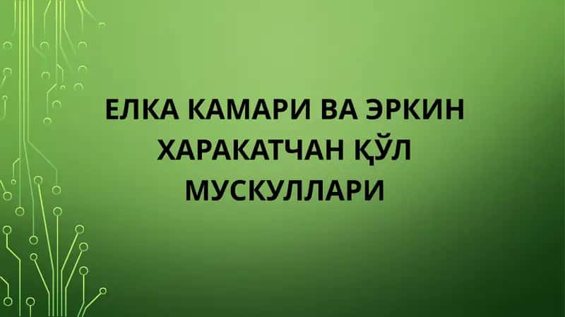 Елка камари ва Эркин харакатчан қўл мускуллари 1