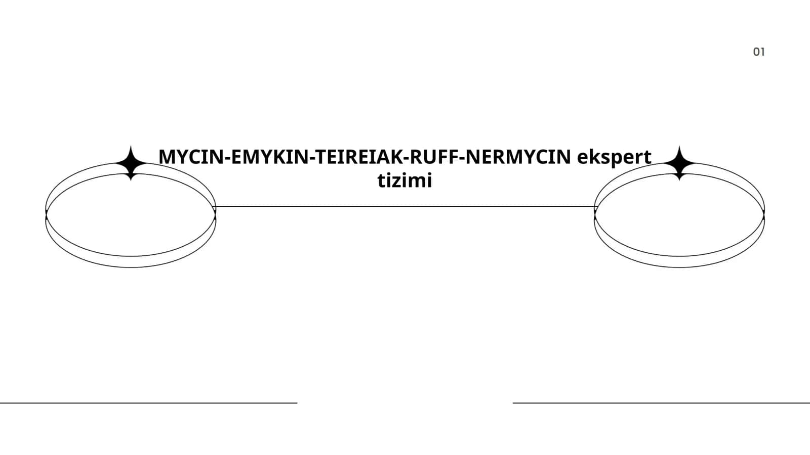 MYCIN-EMYKIN-TEIREIAK-RUFF-NERMYCIN ekspert tizimi 1