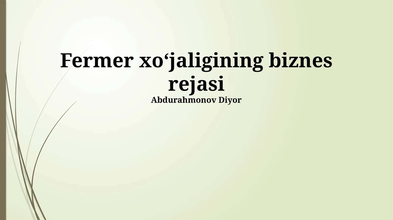 Fermer xo'jaligining biznes rejasi 1