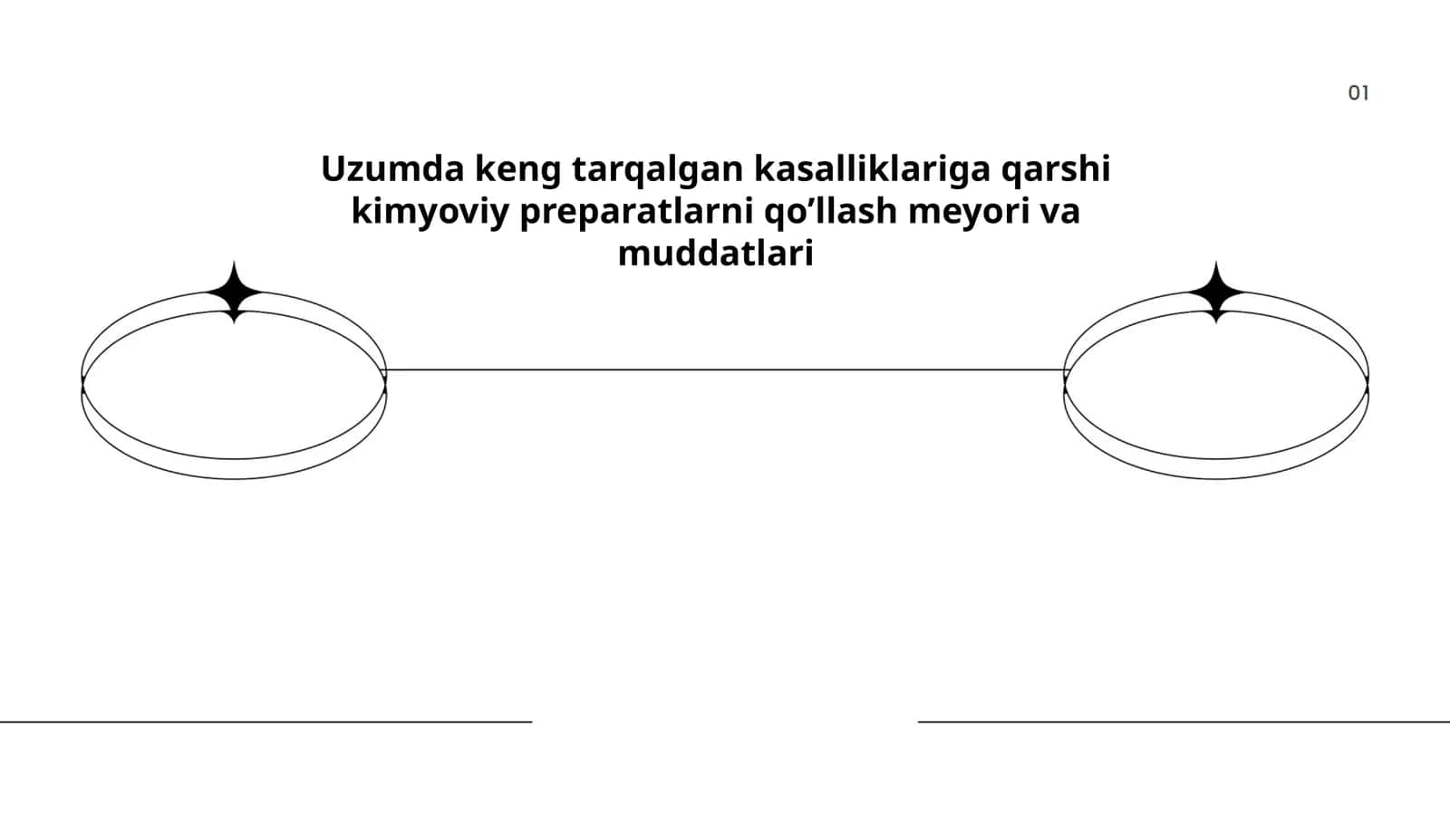 Uzumda keng tarqalgan kasalliklariga qarshi kimyoviy preparatlarni qo’llash meyori va muddatlari 1