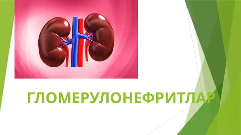 ГЛОМЕРУЛОНЕФРИТЛАР 1