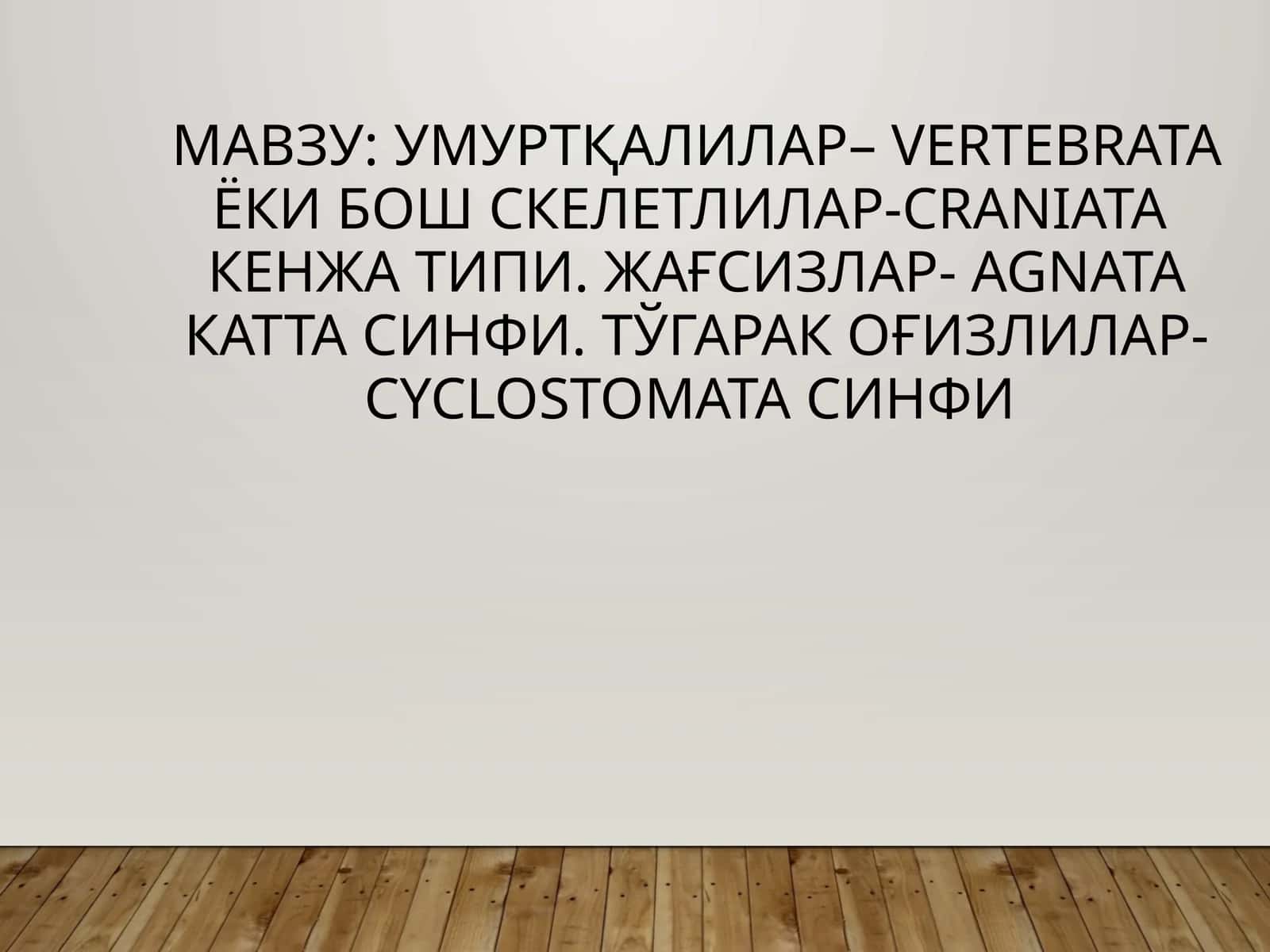 Умуртқалилар– Vertebrata ёки Бош скелетлилар-Craniata кенжа типи 1