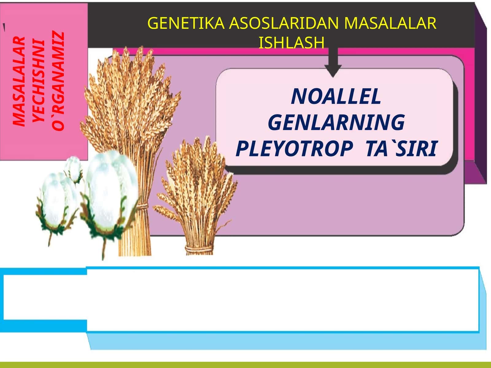 NOALLEL GENLARNING PLEYOTROP TA`SIRI 1
