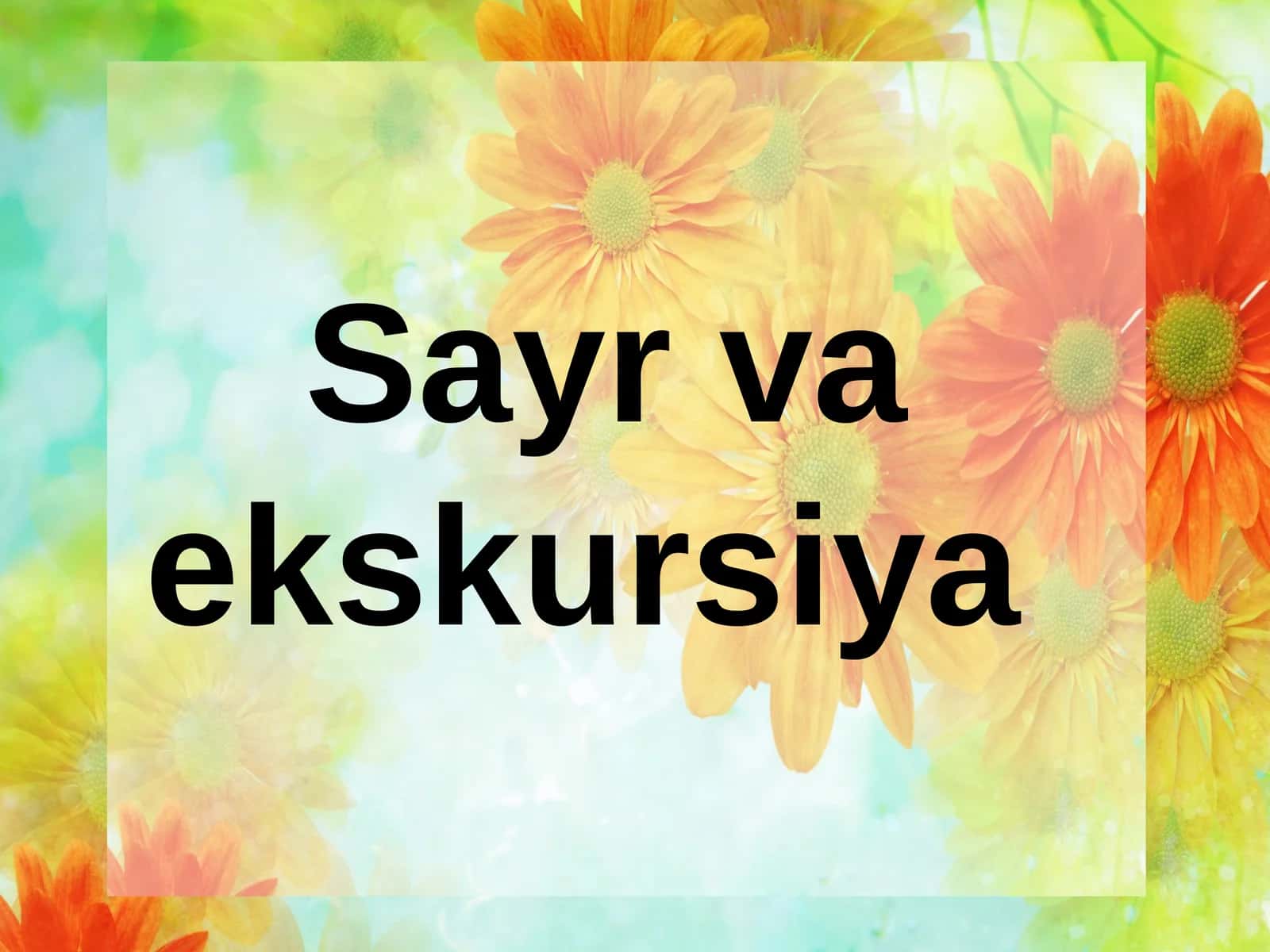 Sayr va ekskursiya 1