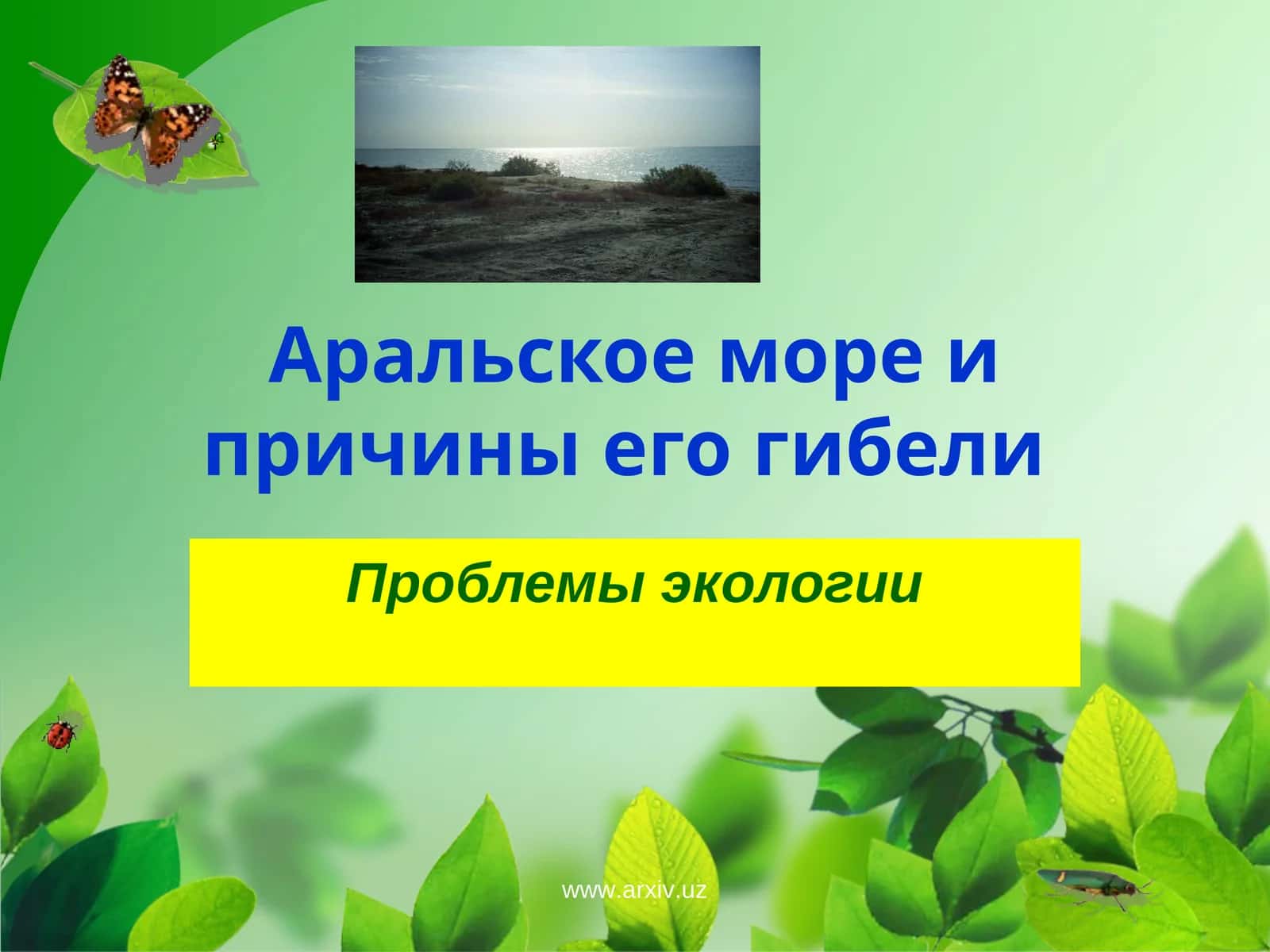 Аральское море и причины его гибели 1