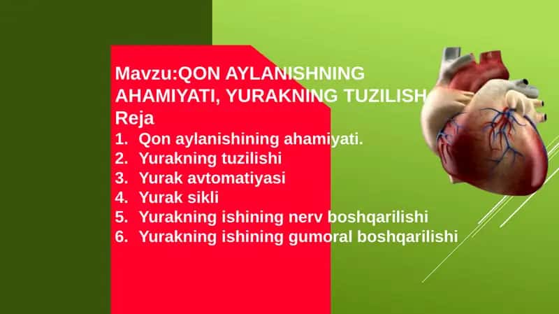 QONAYLANISHNING AHAMIYATI, YURAKNING TUZILISH 1
