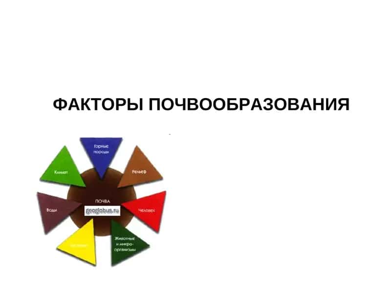 ФАКТОРЫ ПОЧВООБРАЗОВАНИЯ 1