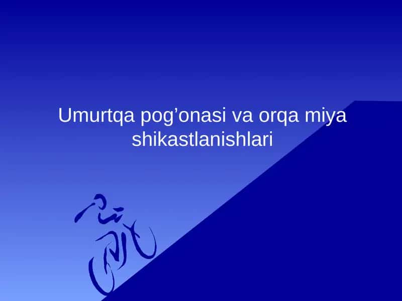 Umurtqa pog’onasi va orqa miya shikastlanishlari 1