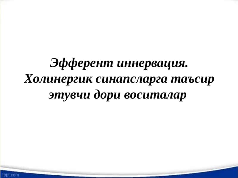 Эфферент иннервация. Холинергик синапсларга таъсир этувчи дори воситалар, 1
