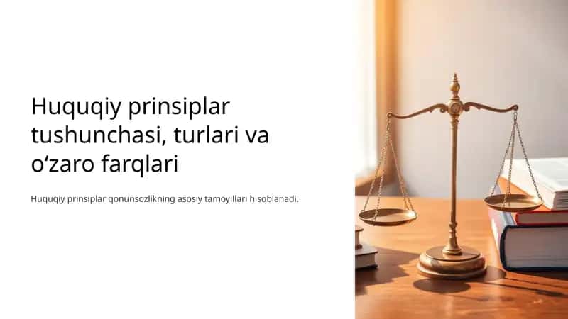Huquqiy prinsiplar tushunchasi, turlari va oʻzaro farqlari 1