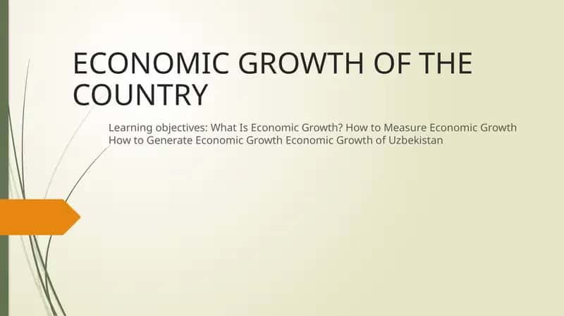 ECONOMIC GROWTH OF THE COUNTRY 1
