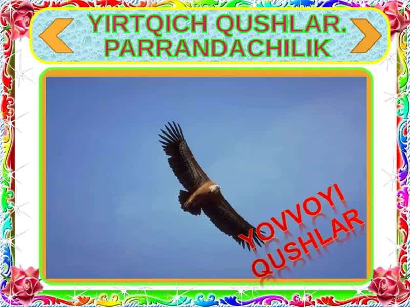 YIRTQICH QUSHLAR.  PARRANDACHILIK 1