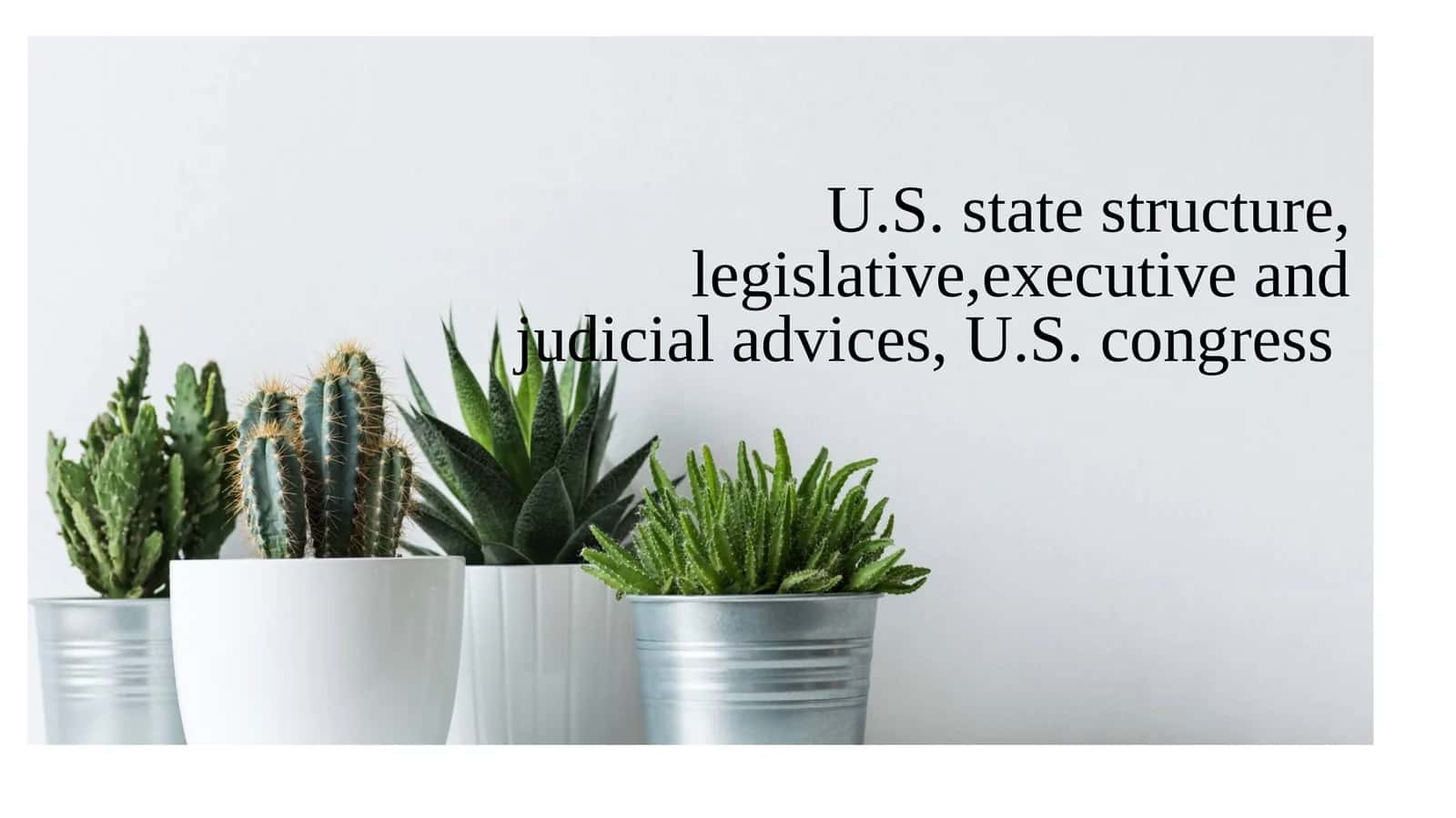 U.S. state structure, legislative, executive and judicial advices, U.S. congress 1