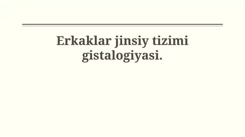 Erkaklar jinsiy tizimi gistalogiyasi 1
