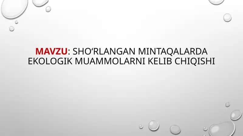 Shoʻrlangan mintaqalarda ekologik muammolarni kelib chiqishi 1