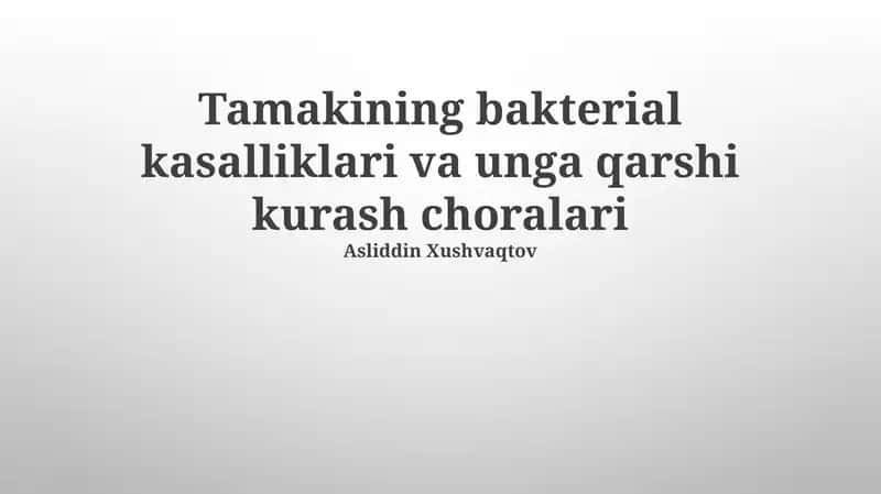 Tamakining bakterial kasalliklari va unga qarshi kurash choralari 1