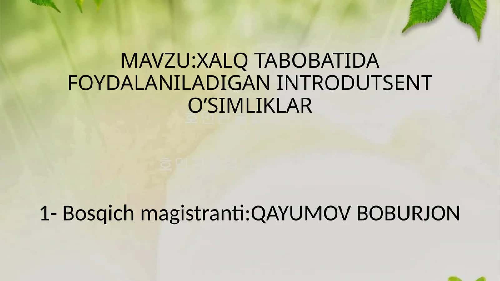 XALQ TABOBATIDA FOYDALANILADIGAN INTRODUTSENT O’SIMLIKLAR 1